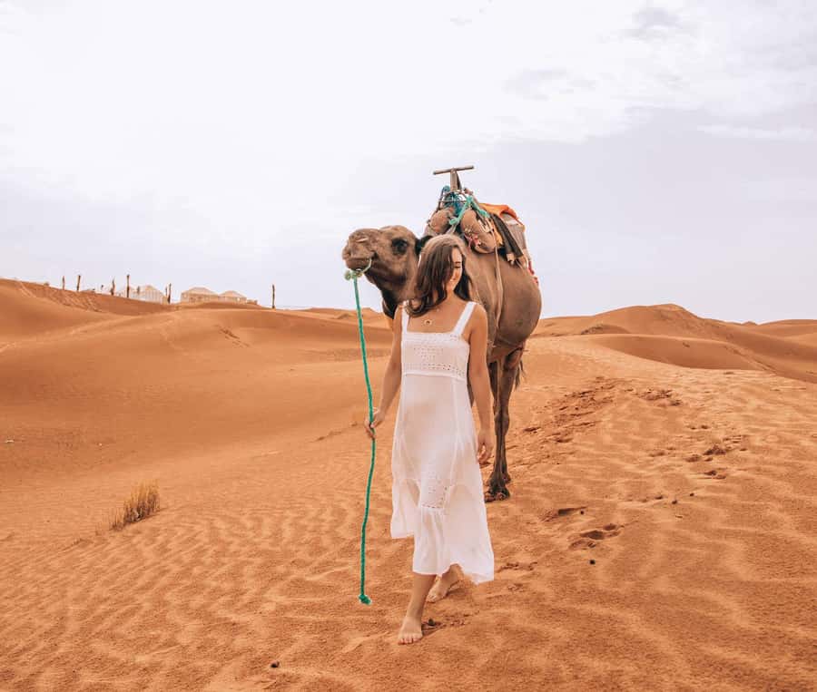Marrakech to Fes: Quad, Dinner, Camel, 3-Day Desert Tour - What this Marrakech to Fes route really involves