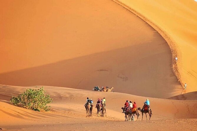 Marrakech to Fez via Merzouga Desert 3-Days | Marrakech-to-Fes - Five details that shape the trip