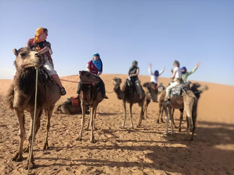 Marrakech to Fez via Merzouga Desert 3-Days Sahara Tour - Transport, timing, and group size