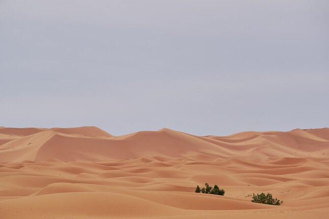 Marrakech to Merzouga 3 days Desert Tour - What the $565.61 price really buys