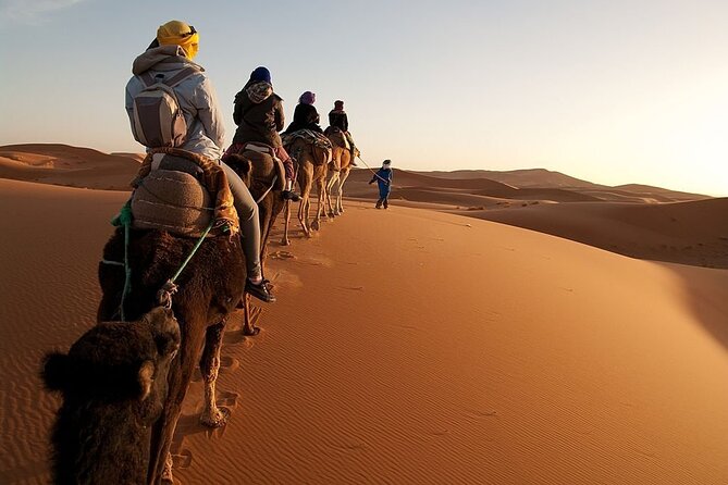 Marrakech to Merzouga Desert 3-Day via the High Atlas Mountains - Day One: Tizi n’Tichka and Ait Ben Haddou
