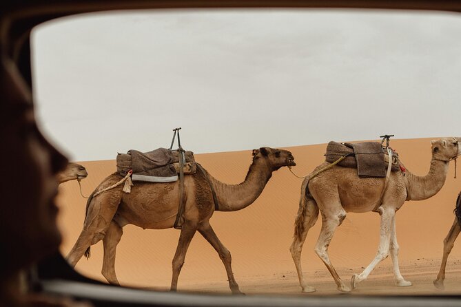 Marrakech To Merzouga Tour - Key points to know before booking
