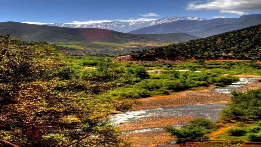 Marrakech to Ourika Valley-Scenic Day Tour Lunch & Waterfal - Weather, clothing, and useful preparation