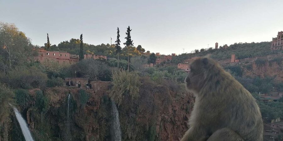 Marrakech to Ouzoud waterfalls day tour - Guide & boat ride - Orange juice, viewpoints, and the boat at the base