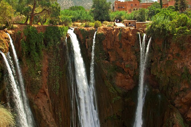 Marrakech to Ouzoud Waterfalls Day Trip with Local Guide & Boat - What the guides add to the experience