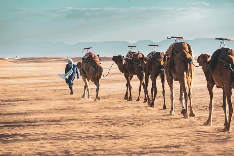 Marrakech to Zagora Desert: 2-Day trip via Ait Benhadou - Walking through Ait Benhaddou