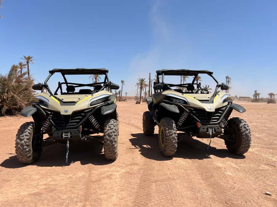 Marrakech: Tour Buggy 1000cc In Palm Oasis and Jbilat Desert - Key points before you book