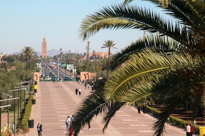Marrakech Tour Gardens Majorelle, Menara & Anima Gardens - Who will enjoy this garden tour most?
