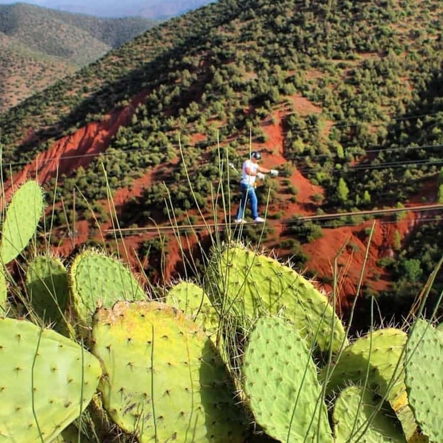 Marrakech: Zipline and Breakfast in the Atlas Mountains - Should you book it?