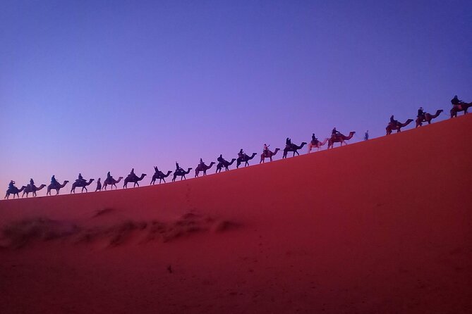 Marrakesh 3 Days Tour to Fez with Overnight Desert Camping - Who will enjoy this trip most