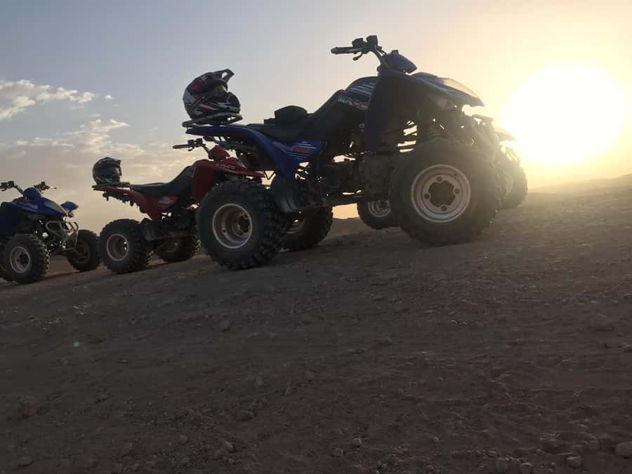 Marrakesh: Agafay Desert Quad & Camel Tour with Dinner - Should you book it?