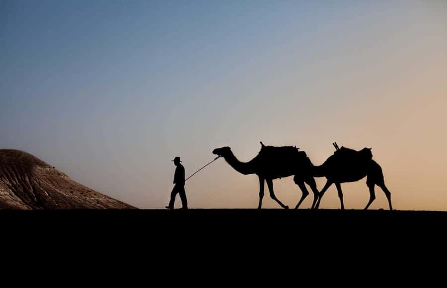 Marrakesh: Agafay Desert Quad & Camel Tour with Dinner - From Marrakesh to the Agafay Desert
