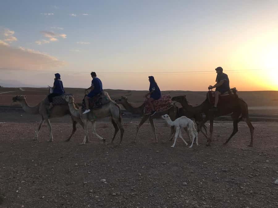 Marrakesh: Agafay Desert Quad & Camel Tour with Dinner - Sunset over Agafay’s bare hills