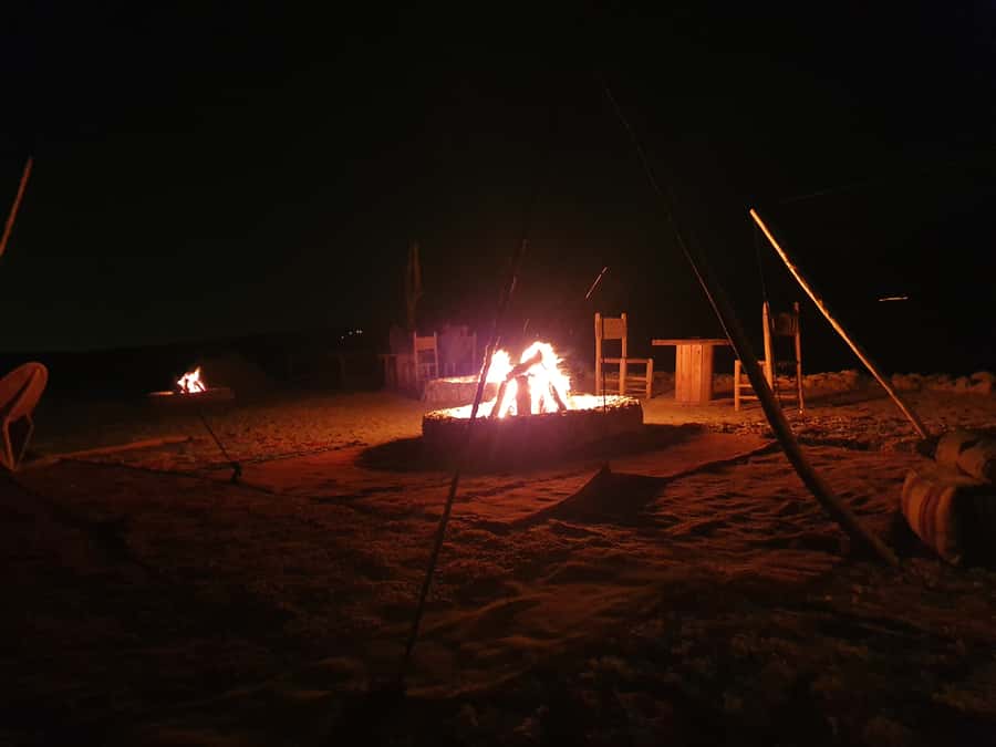 Marrakesh: Agafay Desert Quad & Camel Tour with Dinner - Who will enjoy this Agafay outing?