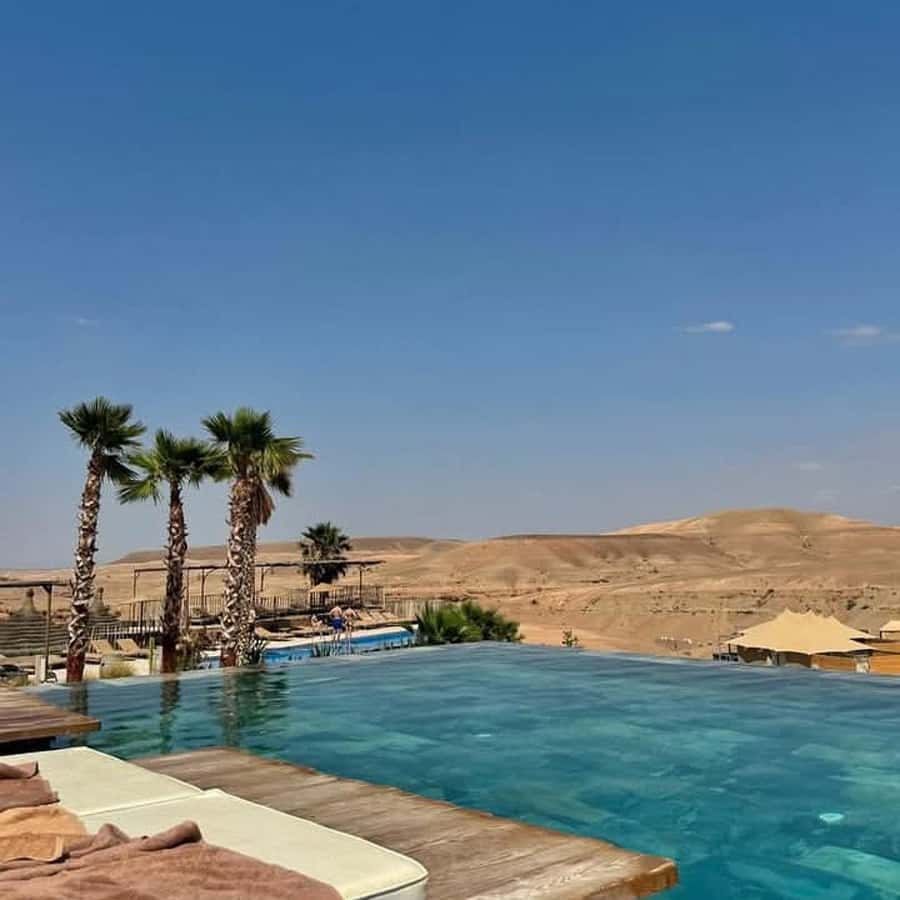 Marrakesh: Agafay Desert Tour with Lunch and Swimming Pool - The argan women’s cooperative stop