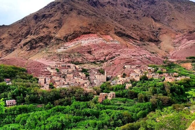 Marrakesh: Atlas Mountains, Imlil Valley & Waterfalls Tour - Guides, drivers, and the human side of the day
