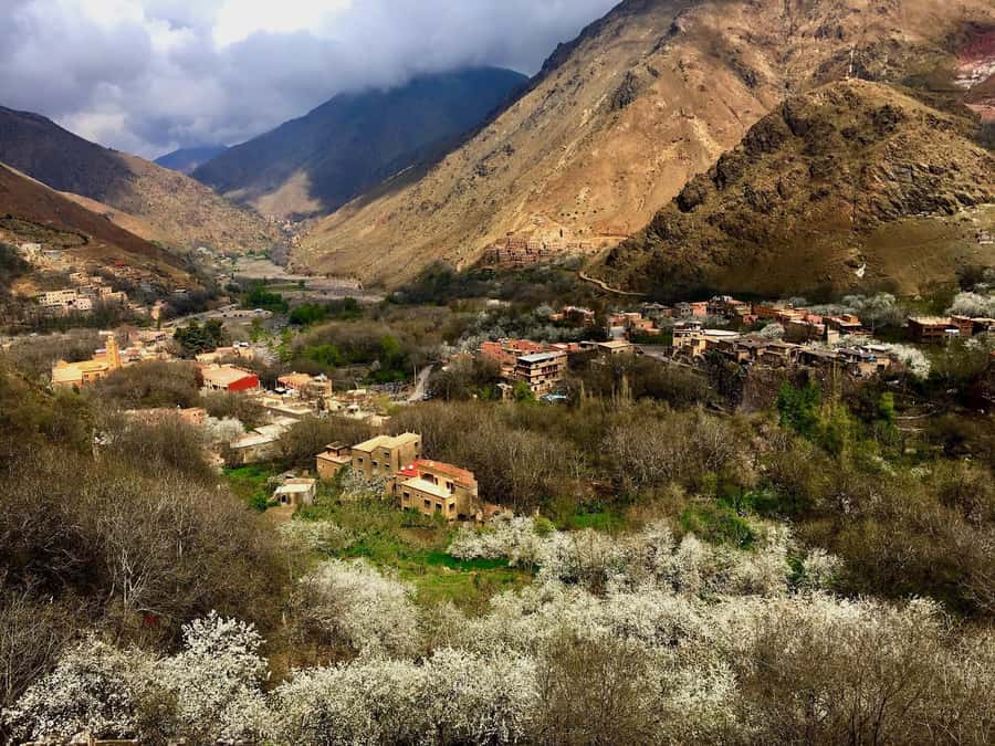 Marrakesh: Desert & Mountain Tour with Camel Ride & Lunch - Tea, Amazigh culture, and village life