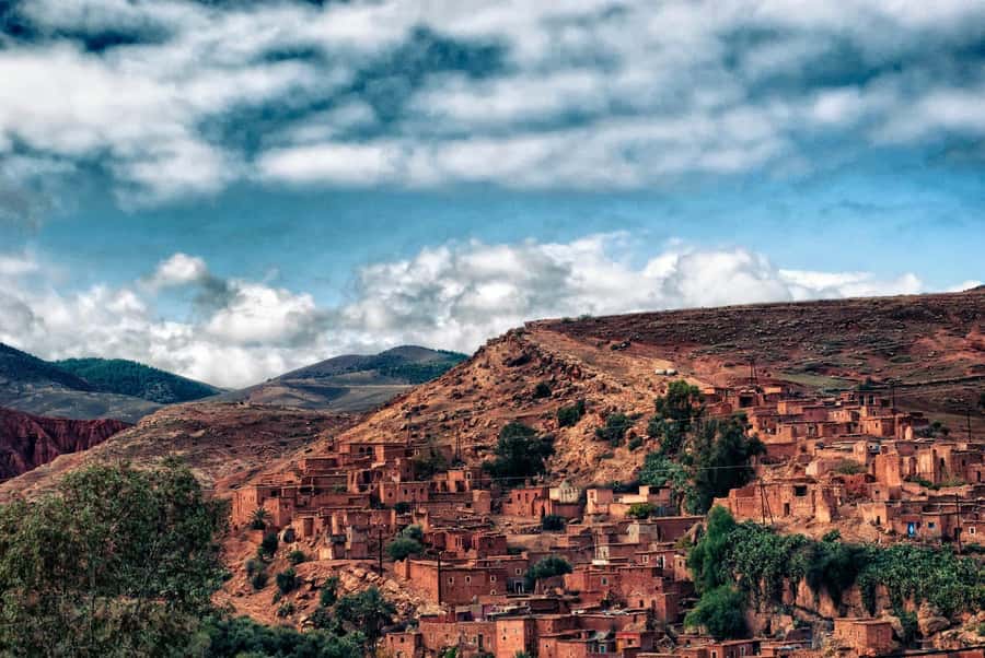 Marrakesh: Desert & Mountain Tour with Camel Ride & Lunch - Who should book this tour?