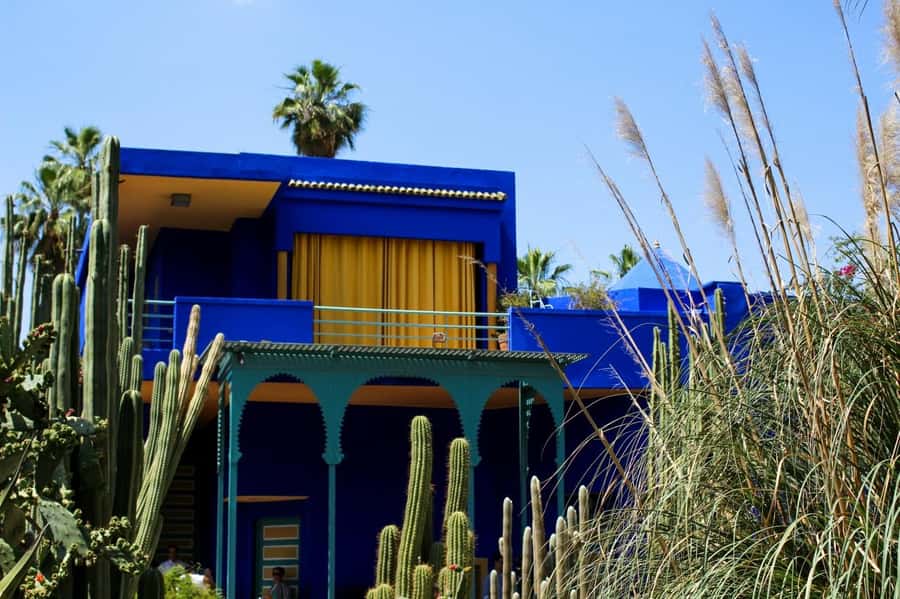 Marrakesh: Majorelle Garden Entry Tickets - Why Majorelle Garden feels so different from Marrakesh