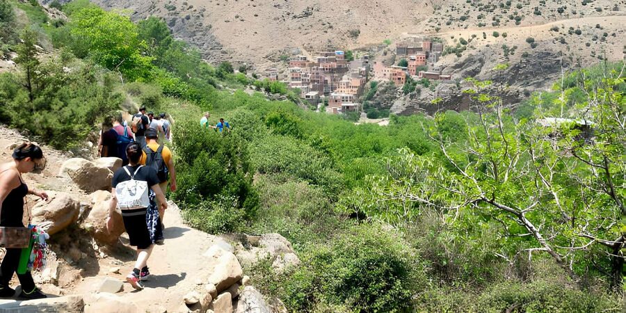 Marrakesh: Ourika Valley & Atlas Mountains Day Trip + Lunch - What to Do If You Skip the Hike