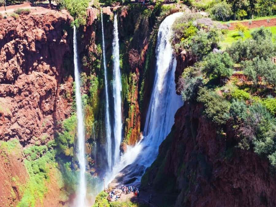 Marrakesh: Ouzoud Waterfalls Trip with Hike & Boat Option - Monkeys, olive trees, and the human side of the visit