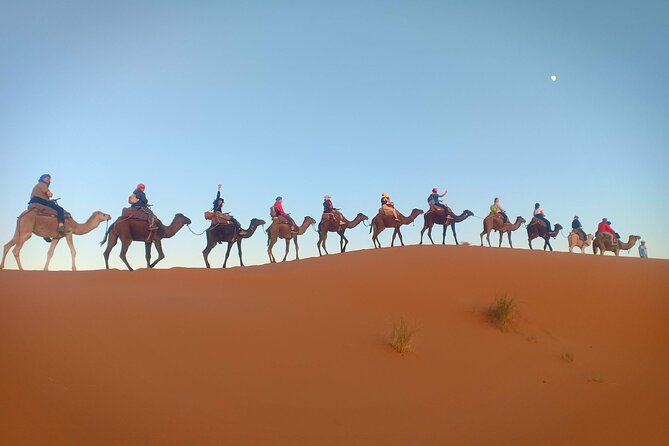 Marrakesh to Fez 3-Day with Overnight merzouga Desert Camping - Key points at a glance