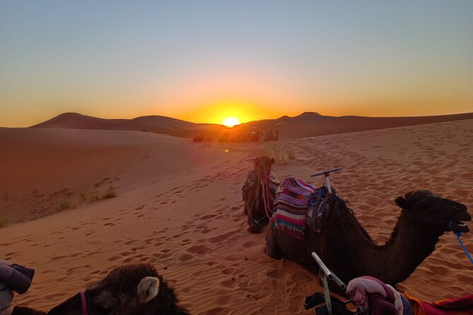 Marrakesh to Fez 3-Day with Overnight merzouga Desert Camping - The hotel night near Tinghir