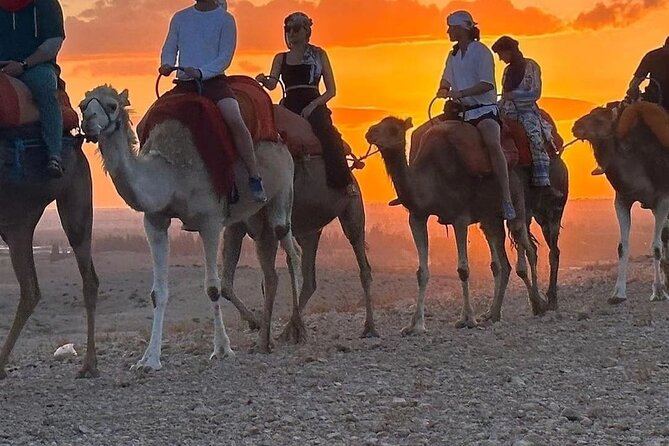 MEDINA of ESSAOUIRa - Practical tips for a smoother outing
