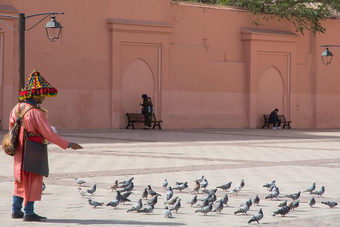 Medina of Marrakech Walking Tour - Why Marrakech’s medina needs a guide