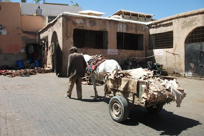 Medina Walking Tour Secrets - Who will enjoy this walk most
