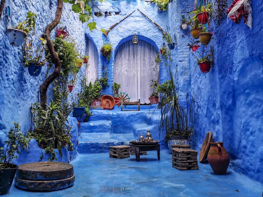 Memorable Day Trip From Fez to Chefchaouen the Blue City - A Scenic Road With Useful Breaks