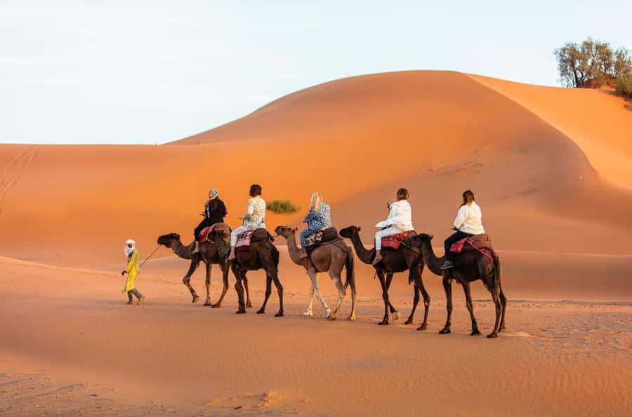 Merzouga: 1-Night in Desert Camp With Dinner & camel ride - Tea, dinner, and a tent with heat