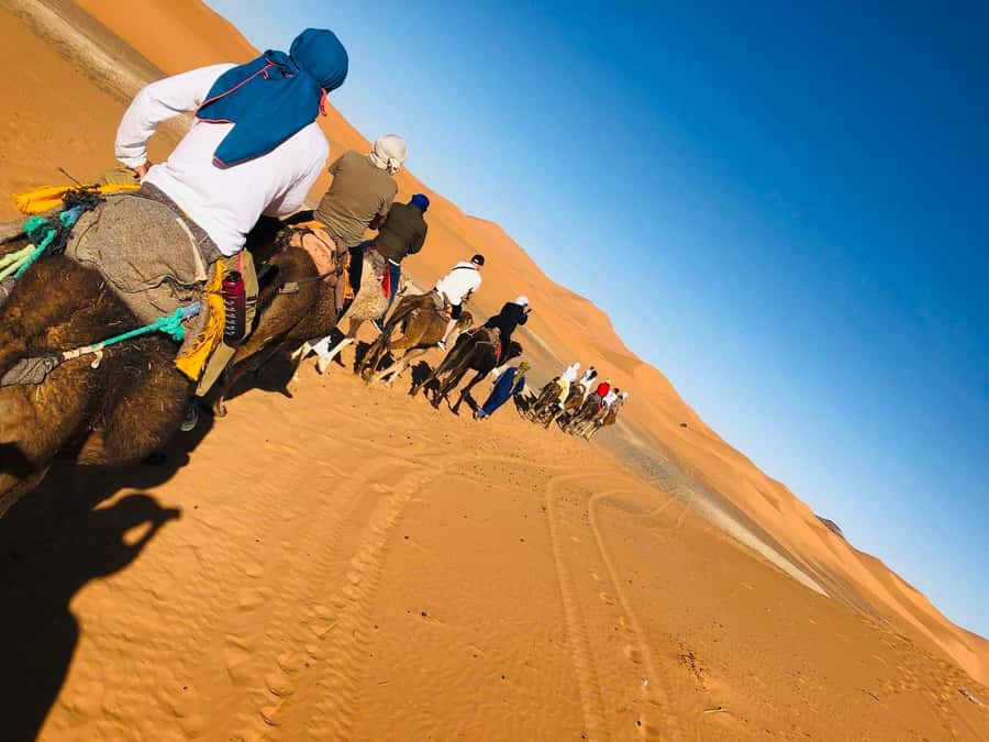 Merzouga: 1-Night in the luxury camp. camel ride & Dinner - Should you book it?