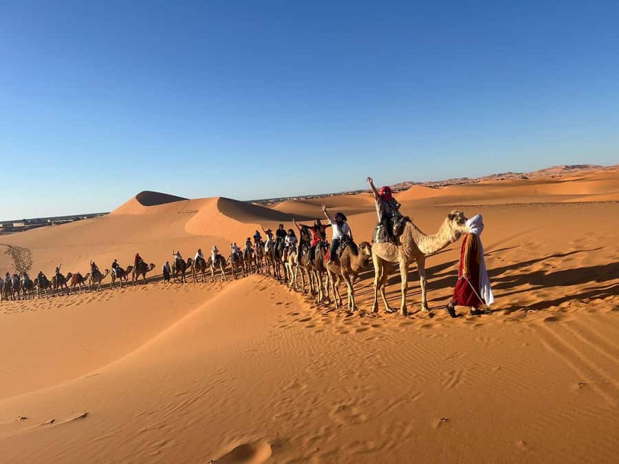 Merzouga: 1-Night in the luxury camp. camel ride & Dinner - What $79 includes, and what it does not