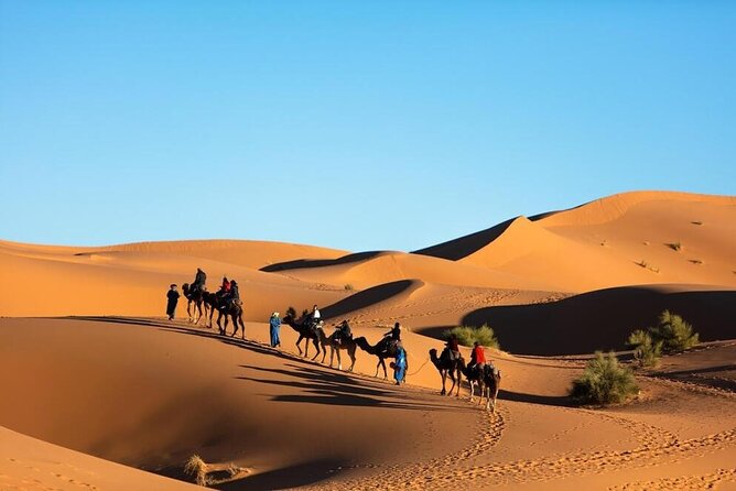 Merzouga Camel Ride & Overnight Desert Camps - Mint tea, dinner, and Berber music after dark