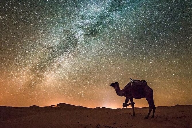 Merzouga Camel Ride & Overnight Desert Camps - Sunrise, breakfast, and the ride back