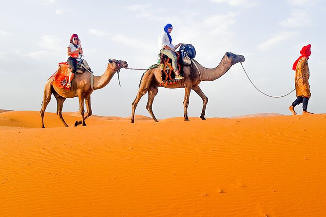 Merzouga Camel Ride & Overnight Desert Camps - What the $93.05 price really buys you