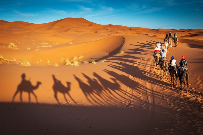 Merzouga Camel Ride & Overnight Desert Camps - Who should book this Merzouga desert night