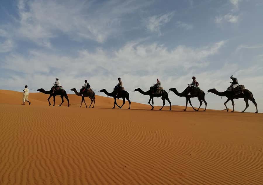 Merzouga Desert: 3-Day Desert Tour from Marrakech - Todra Gorge and the road toward Erfoud
