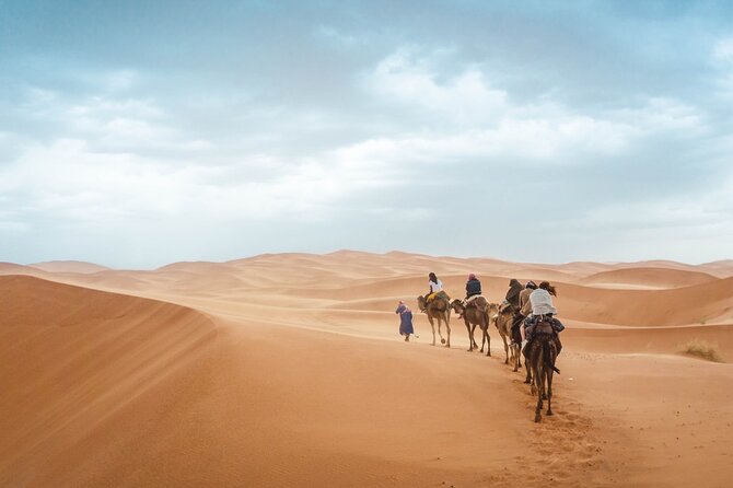 Merzouga Desert 3 Days 2 Nights Tour From Marrakech - Camel trekking into the Erg Chebbi dunes