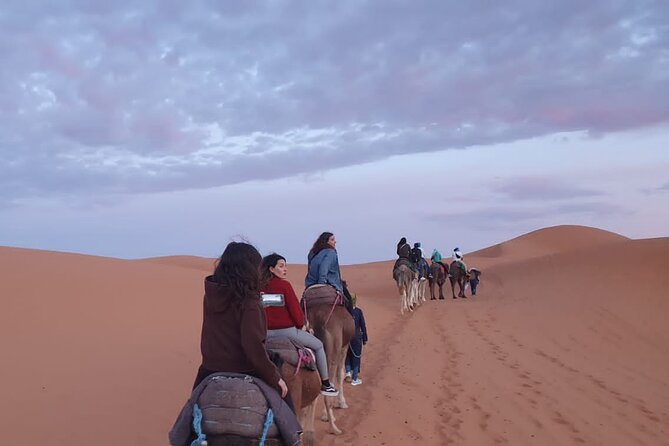 Merzouga Desert Campsite &Camel Excursions - Who will enjoy this desert night most