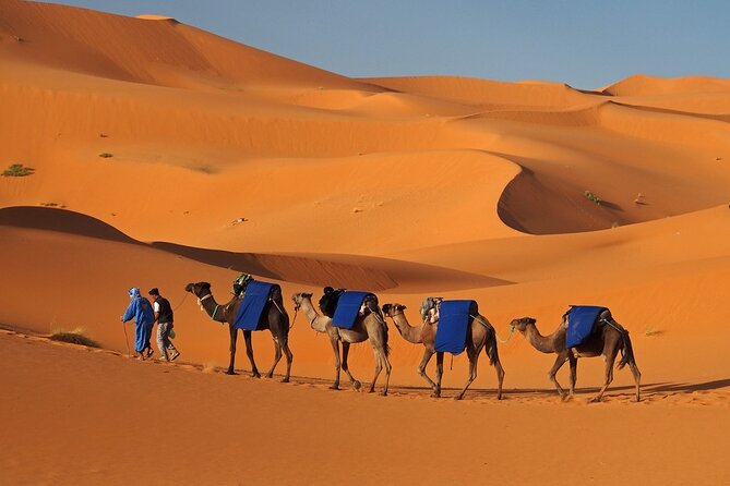 MERZOUGA DESERT TREK - 3 DAYS From Marrakech - Day two, gorges, palm groves, and the first dunes