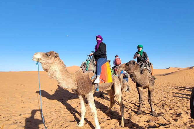 MERZOUGA DESERT TREK - 3 DAYS From Marrakech - Who should book this Merzouga tour?