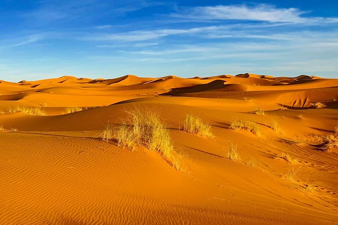 Moroccan Desert 3-Day Luxury Tour from Marrakech - Day three: Sunrise, the long road back to Marrakech