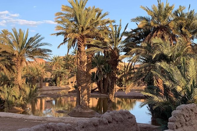 Moroccan Desert 3-Day Luxury Tour from Marrakech - Who should book this Marrakech desert tour?