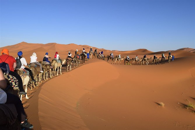 Morocco 9 Days Tour from Casablanca - Fez brings the most concentrated cultural touring