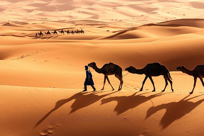 Morocco Top Trips: Luxury 10-Day Private Tour in Morocco - How the 10-day route works