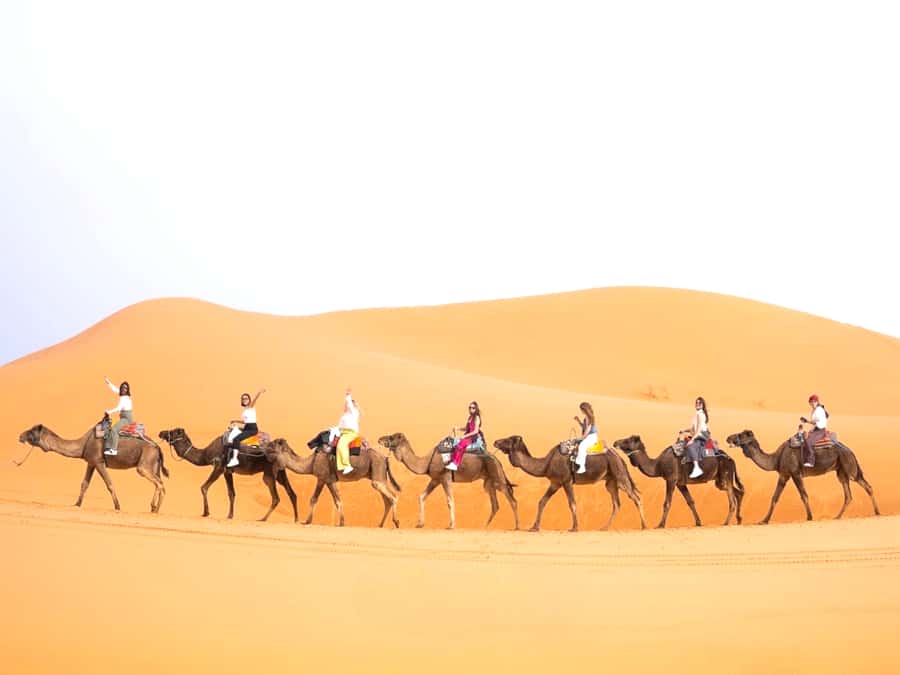 Ouarzazate to Marrakech: 3-Day Desert Tour with Camel Trek - Key points to know before booking