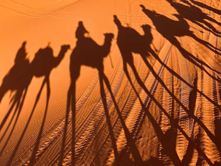 Ouarzazate to Marrakech: 3-Day Desert Tour with Camel Trek - Todra Gorge puts you beneath 300-meter cliffs