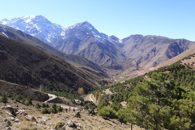 Ourika valley and berber villages day trip with Guide+Lunch - Seeing daily life at Dar Zite in Tamzenndirt